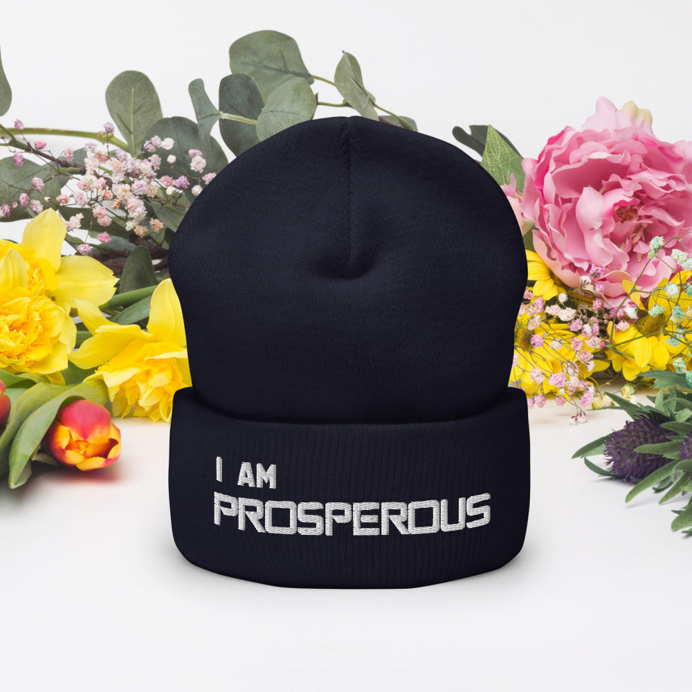 Motivational Beanie " I AM PROSPEROUS"  Inspiring  Law of Affirmation Embroidery Cuffed Beanie