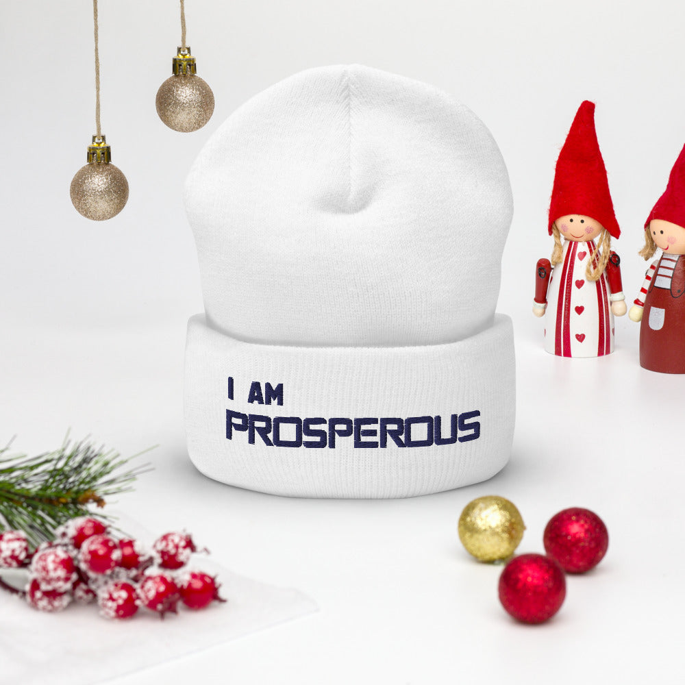 Motivational Beanie " I AM PROSPEROUS"  Inspiring  Law of Affirmation Embroidery Cuffed Beanie