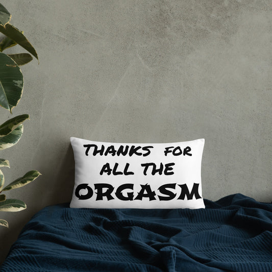 funny Throw Pillow